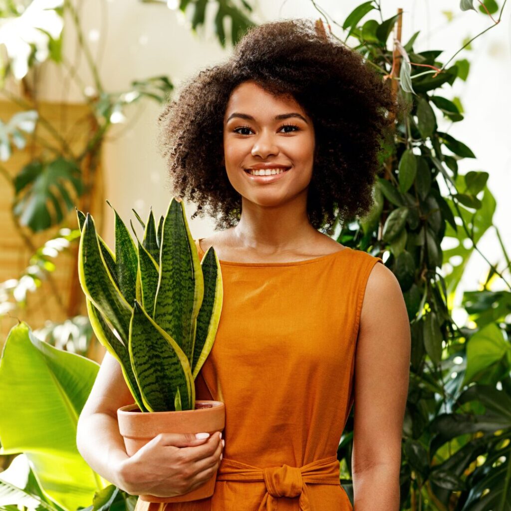 What’s New in Gardening? House plants can improve our health and well-being.